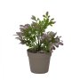 WALLXPERT Decorative Pot Braon Ljubičasta Zelena 241345 - slika 2