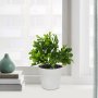 WALLXPERT Decorative Pot Bela Zelena 241346 - slika 1