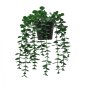 WALLXPERT Decorative Pot Crno Zelena saksija 241349 - slika 2