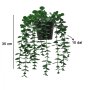 WALLXPERT Decorative Pot Crno Zelena saksija 241349 - slika 3