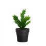 WALLXPERT Decorative Pot Crno Zelena 241347 - slika 2
