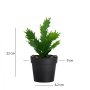 WALLXPERT Decorative Pot Crno Zelena 241347 - slika 3