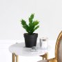 WALLXPERT Decorative Pot Crno Zelena 241347 - slika 1