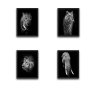 WALLXPERT Dekorativna slika u okviru (4 komada) Animals Set - slika 2