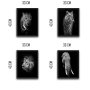 WALLXPERT Dekorativna slika u okviru (4 komada) Animals Set - slika 3