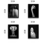 WALLXPERT Dekorativna slika u okviru (4 komada) Elephant Set - slika 3