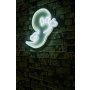 WALLXPERT Dekorativna plastična LED rasveta Casper The Friendly Ghost - slika 2