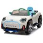 PREMIUM STIL MINI Concept Aceman Beli - Premium Oprema - slika 2