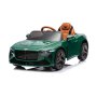 PREMIUM STIL Bentley Bacalar Zeleni – Premium Oprema - slika 2