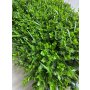 Bolzz Zeleni zid 3D Wild 40x60 cm - slika 4