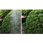 MultiGarden Baštenska ručna prskalica pod pritiskom 5l, dugačak nastavak - slika 5