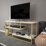 HANAH HOME TV polica Lorin Ephesus Gold - slika 3