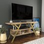 HANAH HOME TV polica Minerva Gold Oak - slika 2