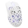 WHITE SHARK WS GM 5018 CARADOC RGB Miš - slika 2