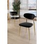 HANAH HOME Set stolica (6 komada) Vina Black Gold - slika 1