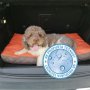 MEMOFORM Ležaj za ljubimce Memoform My Dog memory foam - slika 1