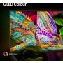 Hisense 100E7Q PRO QLED 4K UHD Smart TV - slika 3