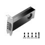 PNY NVIDIA RTX 2000 Ada Generation 16GB GDDR6 VCNRTX2000ADA-PB - slika 2