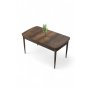 HANAH HOME Trpezarijski sto Zen Baroque Brown - slika 2