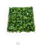 Bolzz Zeleni zid 3D Garden 50x50 cm - slika 1