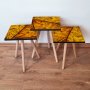 HANAH HOME Set 3 stočića 3Shp105 Multicolor - slika 1