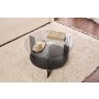 HANAH HOME Sto za kafu Clara Wood Black Fume - slika 3