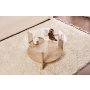 HANAH HOME Sto za kafu Clara Sapphire Hrast Transparent - slika 3