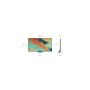 SAMSUNG QE85QN85FAUXXH Neo QLED 4K 2025 - slika 3