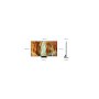 SAMSUNG QE85QN70FAUXXH Neo QLED 4K 2025 - slika 3