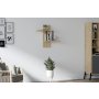 HANAH HOME Zidna polica Herra Sapphire Oak - slika 1