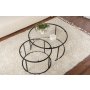 HANAH HOME Set stočića Aurum 80 60 Black Transparent - slika 4