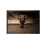 WALLXPERT Dekorativna uramljena drvena slika Strong Elephant XL - slika 2