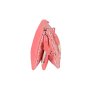 Pepe Jeans PEPE JEANS Pernica sa 3 pregrade-Roze -Cvetici - slika 2