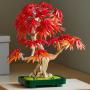 LEGO CREATOR EXPERT 10348 Crvenolisni japanski bonsai javor - slika 3