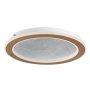 RABALUX Efrael 71281 LED plafonjera - slika 2