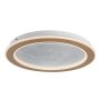 RABALUX Efrael 71281 LED plafonjera - slika 1