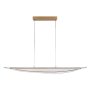 RABALUX Zofrael 72413 LED visilica - slika 2