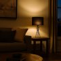 RABALUX Nivra 74082 Stona lampa - slika 2