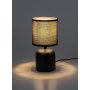 RABALUX Daphni 74056 Stona lampa - slika 3