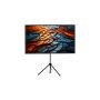 Havit Platno za projektor PS60 - slika 1