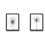WALLXPERT Dekorativna slika u okviru (2 komada) All White Flower Set - slika 2
