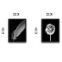 WALLXPERT Dekorativna slika u okviru (2 komada) Dandelion Feather Set - slika 3