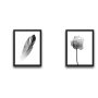 WALLXPERT Dekorativna slika u okviru (2 komada) Flower Feather Set - slika 2