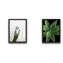 WALLXPERT Dekorativna slika u okviru (2 komada) Green Touch Set - slika 2