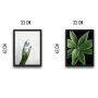WALLXPERT Dekorativna slika u okviru (2 komada) Green Touch Set - slika 3