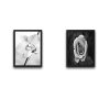WALLXPERT Dekorativna slika u okviru (2 komada) Grey Flower Set - slika 2