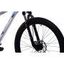 CAPRIOLO MTB SKID 26''/21AL sv.sivo - slika 4