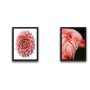 WALLXPERT Dekorativna slika u okviru (2 komada) Pink Flamingo Flower Set - slika 2