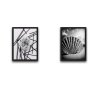 WALLXPERT Dekorativna slika u okviru (2 komada) Shell Dandelion Set - slika 2