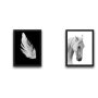 WALLXPERT Dekorativna slika u okviru (2 komada) White Feather Horse Set - slika 2